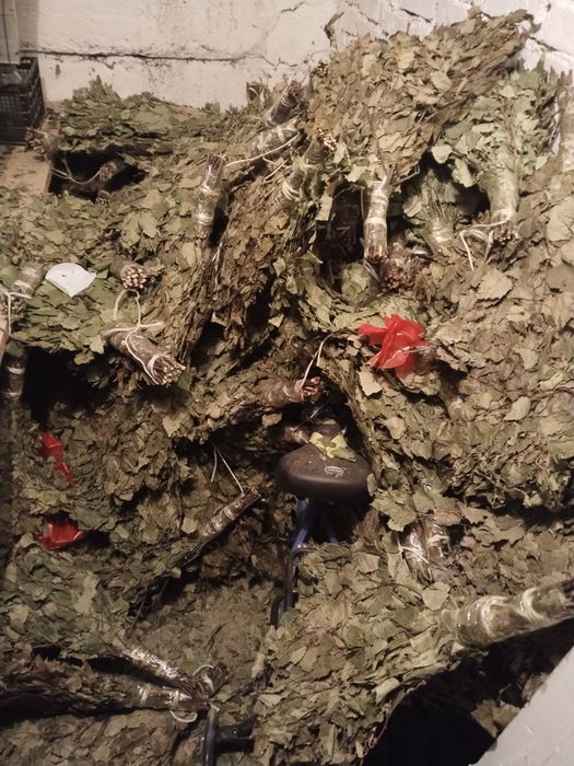 Березовые банные веники