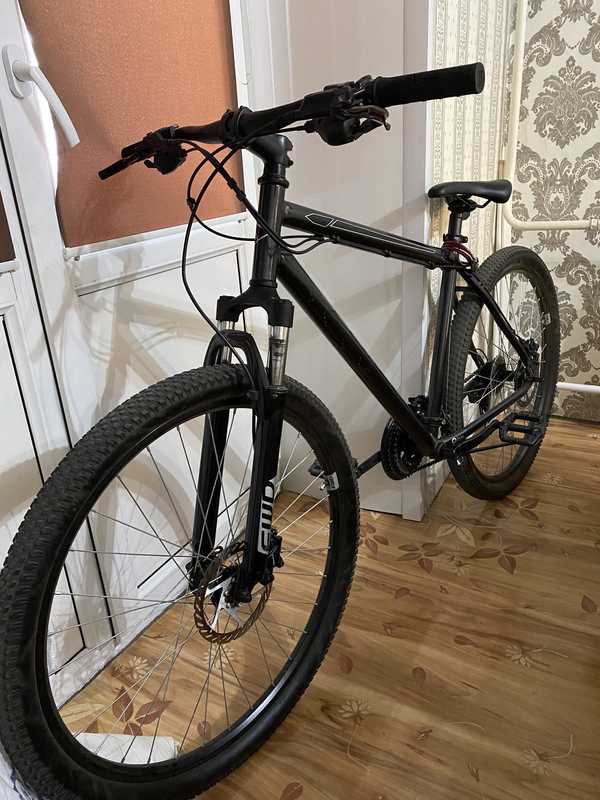 Forward sporting 27.5 3.0 disc