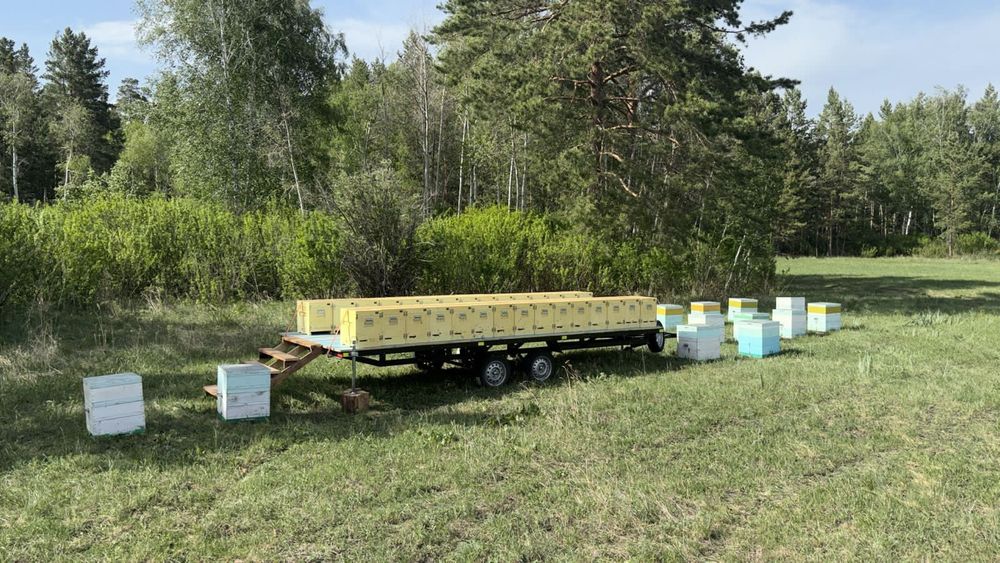 Бал. Мед. Мёд. Натуральный.