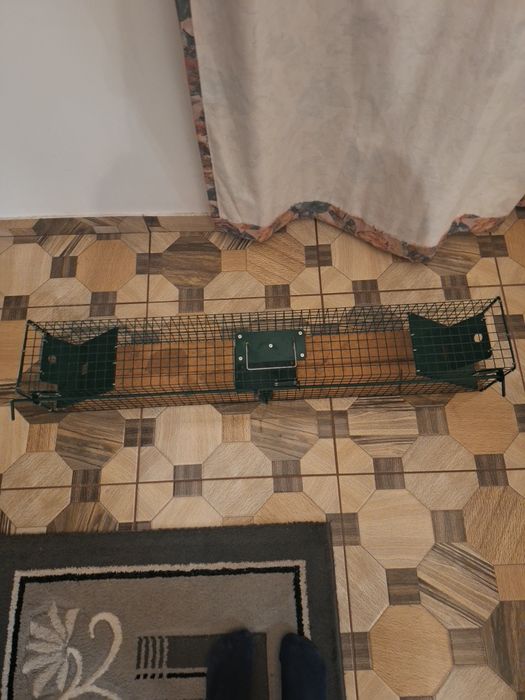 Cusca de prins soareci, sobolani, dijori