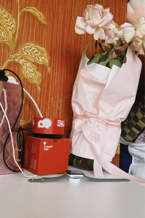 Алиса станция лайт