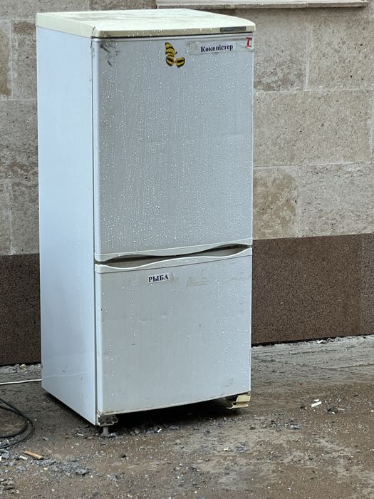 Холодильник рабочий