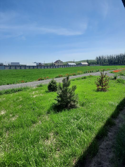 Крестьянское хозяйство