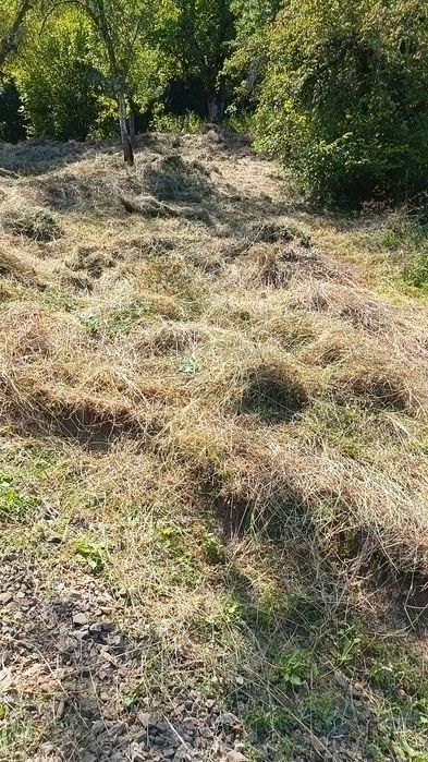 Preturi mici la defrișări,toaletat copaci, cosit,curățat terenuri, gos