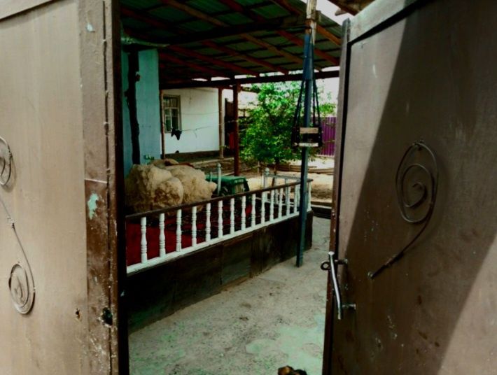 Тахиаташ матросов 25