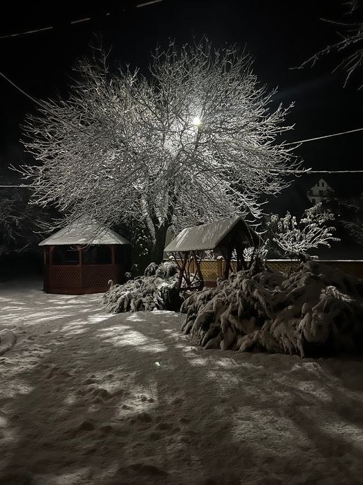 Insieme apuseni Mountains