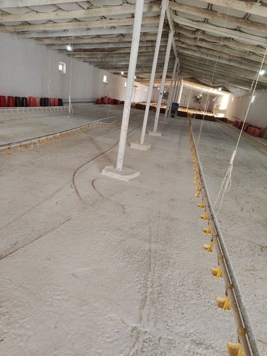 Broller boqiladigan tovuqhona sotiladi