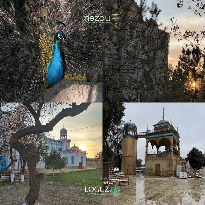 Ваше персональное путешествие в сердце Востока Организация Поддержка