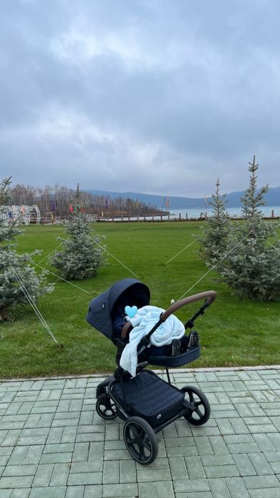 Коляска Easywalker