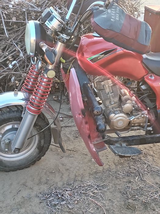 Newstar muravey sotiladi