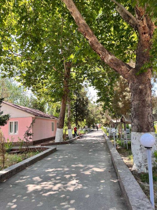 Коттеджи в зоне отдыха «Бриз» на берегу Ташморя - 50 км от Ташкента