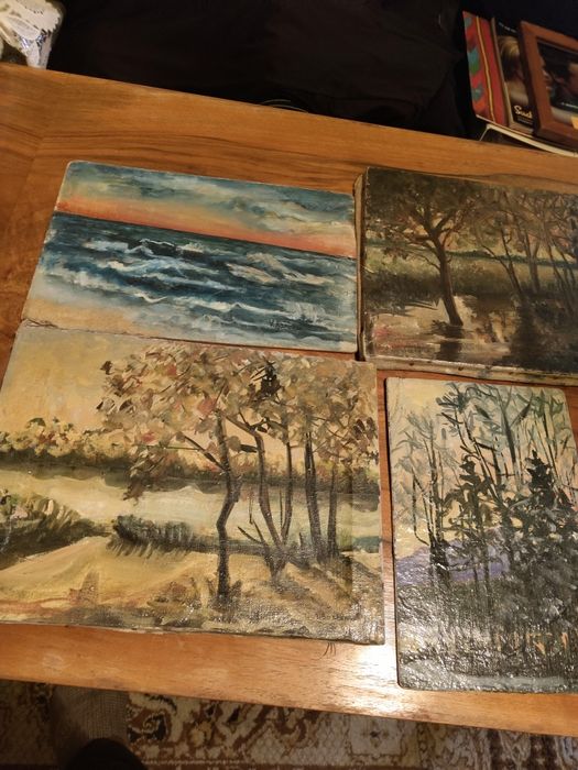 Лот от картини на една художничка...