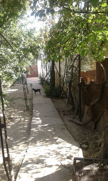 СРОЧНО 10 сот. Циолковский