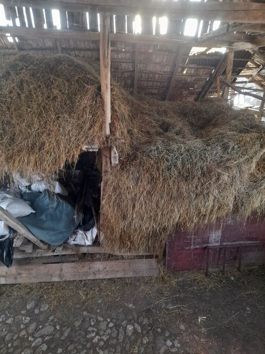 Vind baloti și fin de gradina