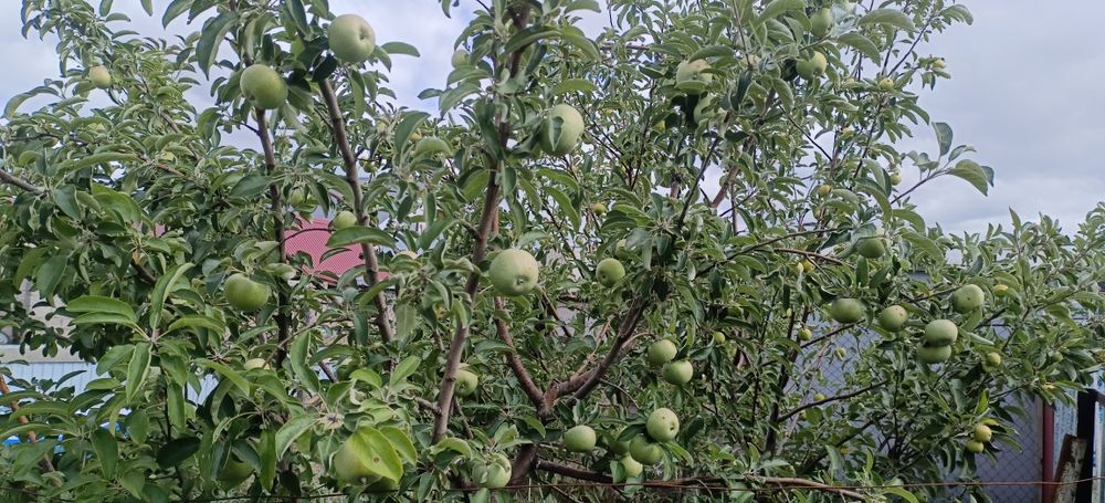 Продаётся частный дом