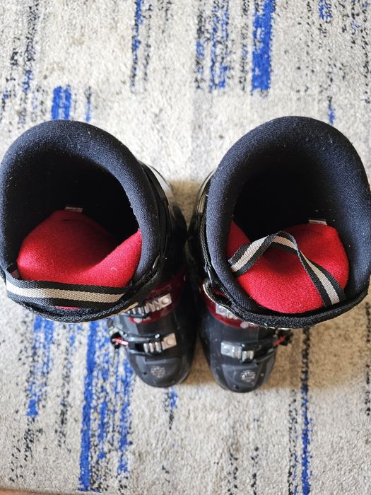 Clăpari schi Alpina