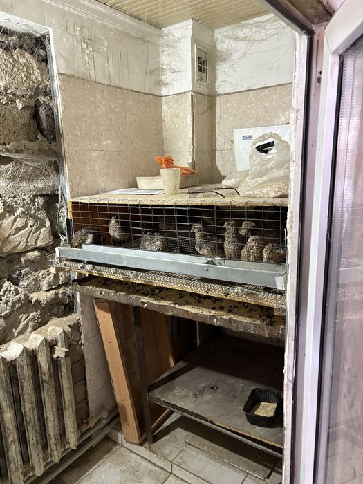 Продам действующий бизнес.