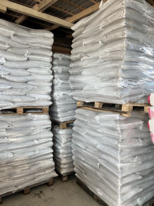 Fasole pestrita soiul cranberry pentru semanat sau consum