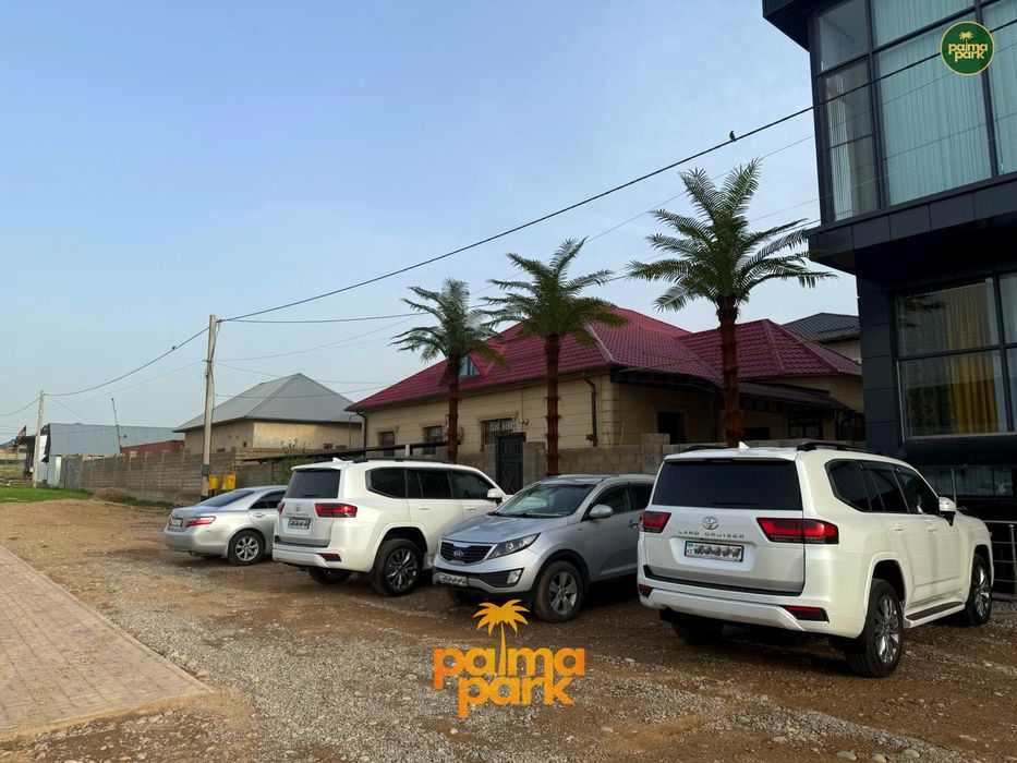 Пальма, искусственные пальмы