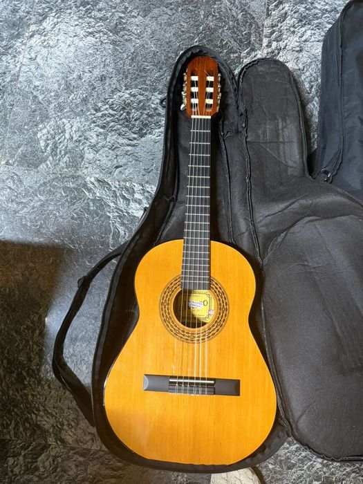 3 modele chitari vintage cu huse!Stare bună!!