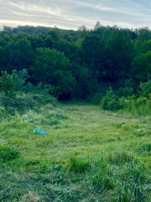 Casa cu farmec boem de vanzare in Moneasa