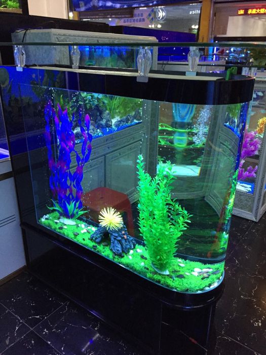 Akvarium suvini almashtirish xizmati