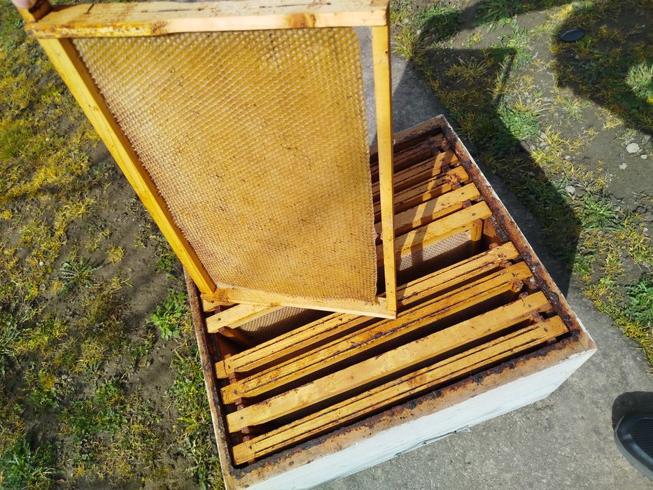 Rame stupi 1/1 clădite