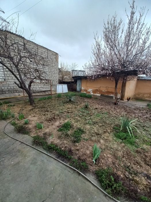 Ракат махалла Урикзор кучаси 7.45-соток Фасад:19.40-метр Ер Хисобида