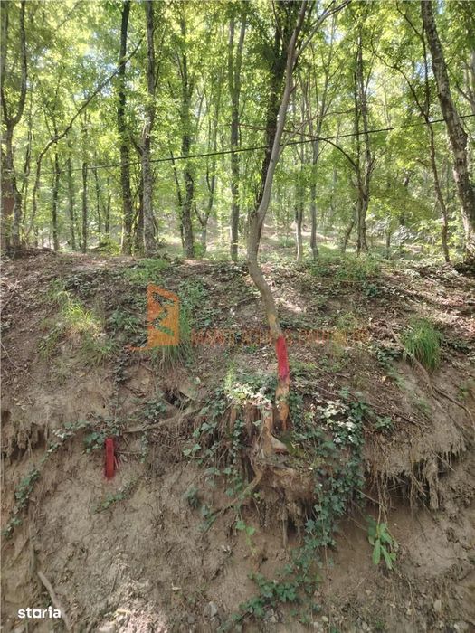 Teren intravilan zona Monteoru