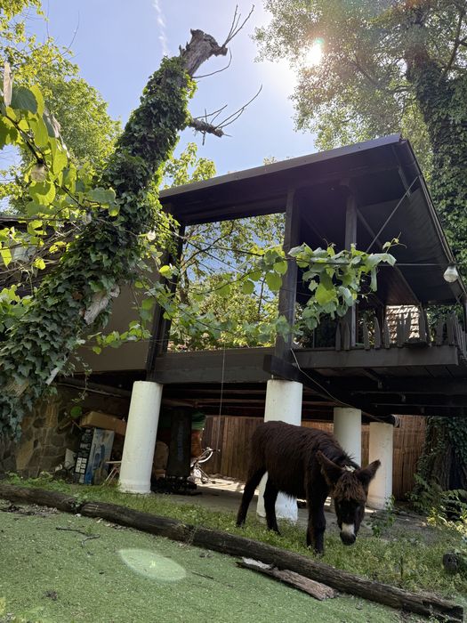 Casa de vanzare trei insule ( posibilitate rata la proprietar  )