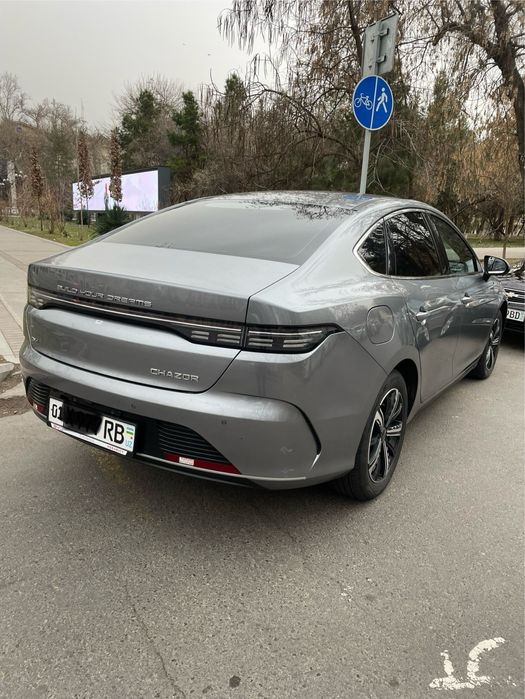 BYD Chazor 120km 3-pozitsiya