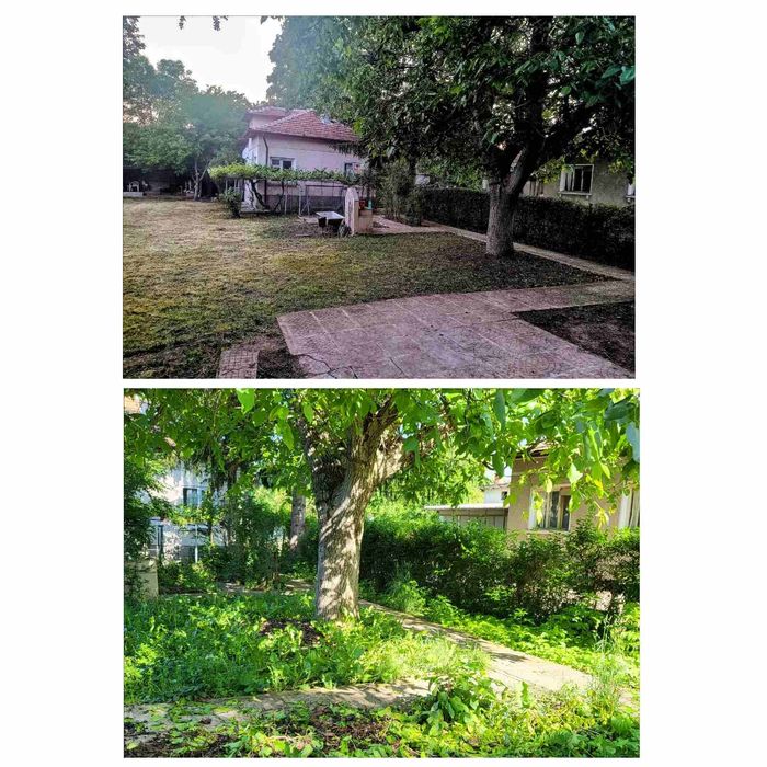 Косене и Почистване на дворове и стари къщи.рязана на опасни дървета