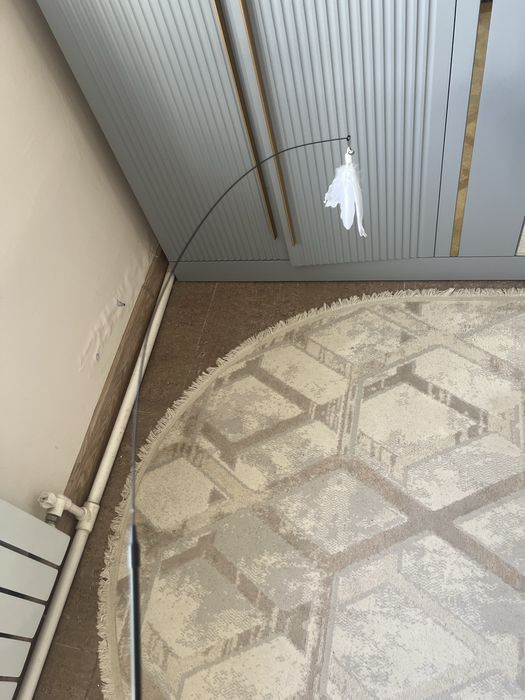 Котограф игрушка для кошки