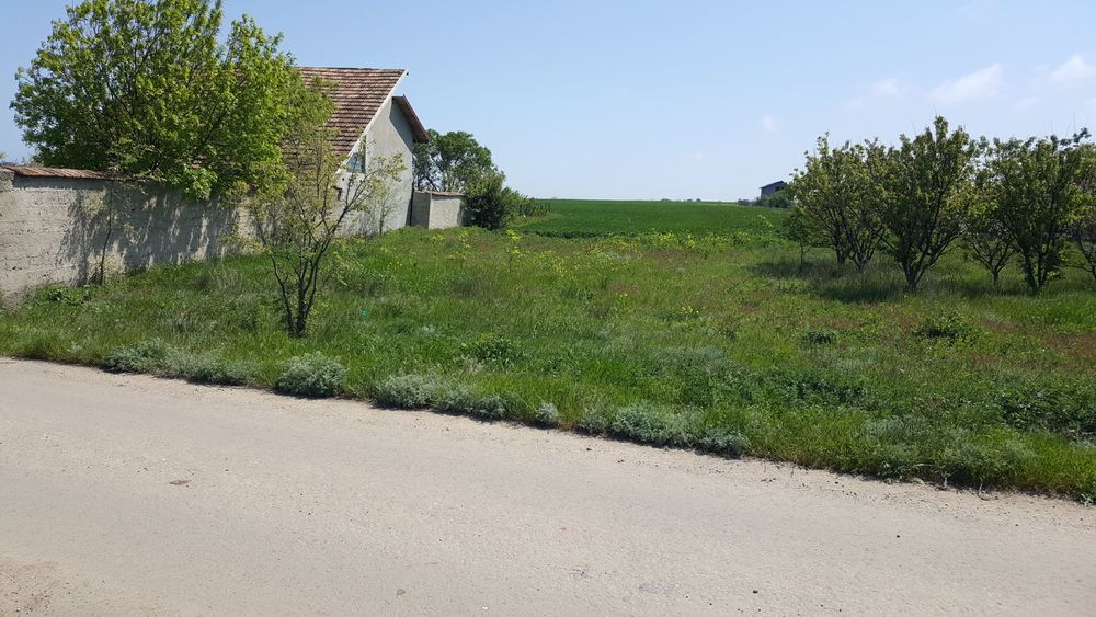 Teren pe malul Lacului Techirghiol  ( Marea Neagra  )