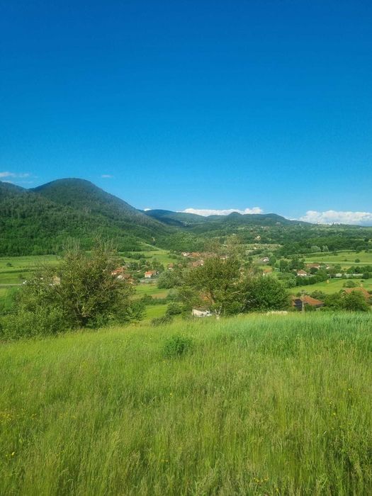 Vand teren intraviland 4820 mp Luncoiu de Jos