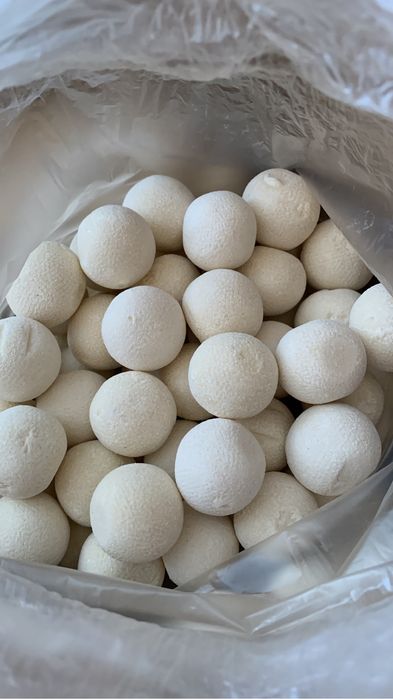 Құрт кг , курт кг