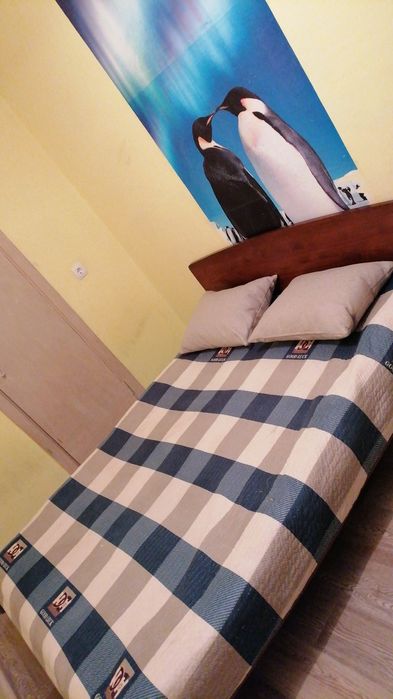 Сдам квартиру в Голубом заливе