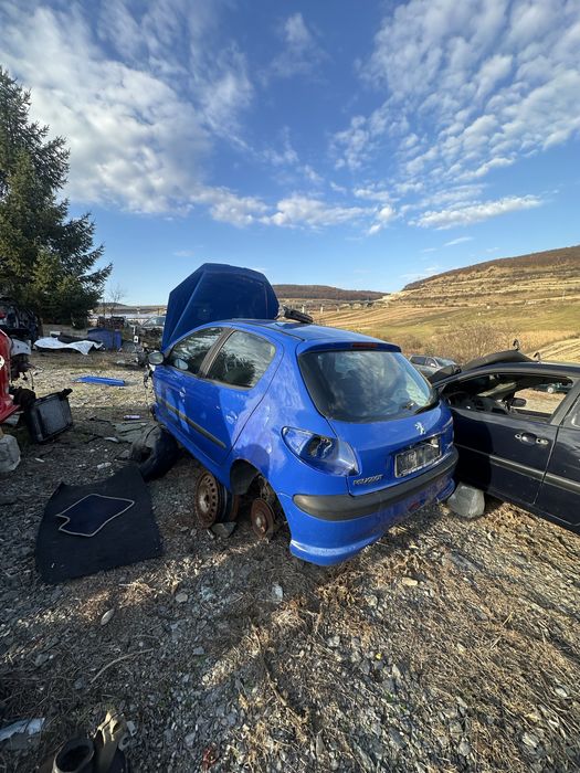 Aripă Peugeot  206 dreapta dezmembrari peugeot 206