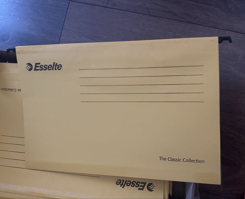 Set 25 dosare suspendabile Esselte FC 90335