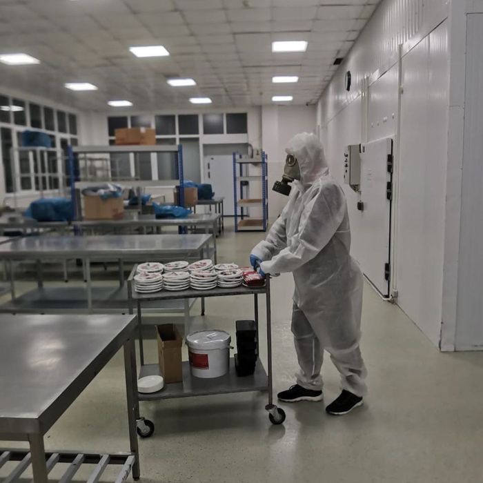 Dizenfeksiya Dezinfeksiya klapa tarakan дизенфекция дезинфекция клапа