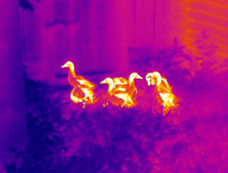 Тепловизор Infiray T2