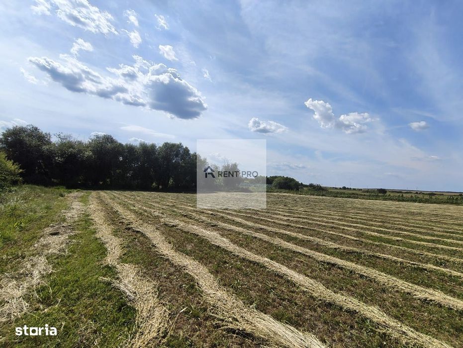 Teren de 11.000 mp cu casă și teren agricol | La 40 km de București |