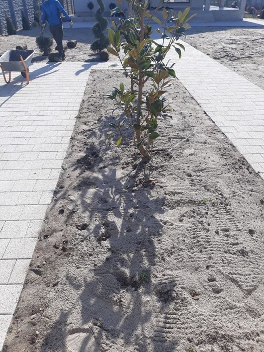 Gazon rulou si instalații de irigat automate