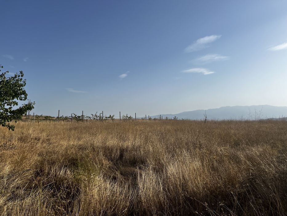 Продава се Парцел в Сандански - 1500 кв.м за 48 €/кв.м - Снимка #7