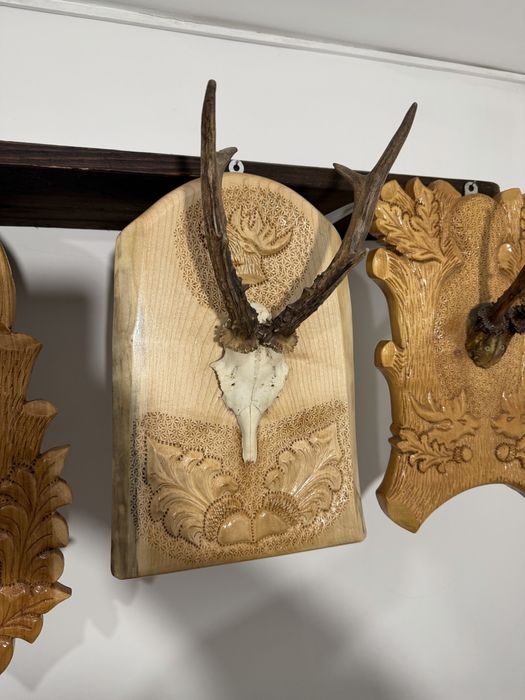 Panoplie diverse modele