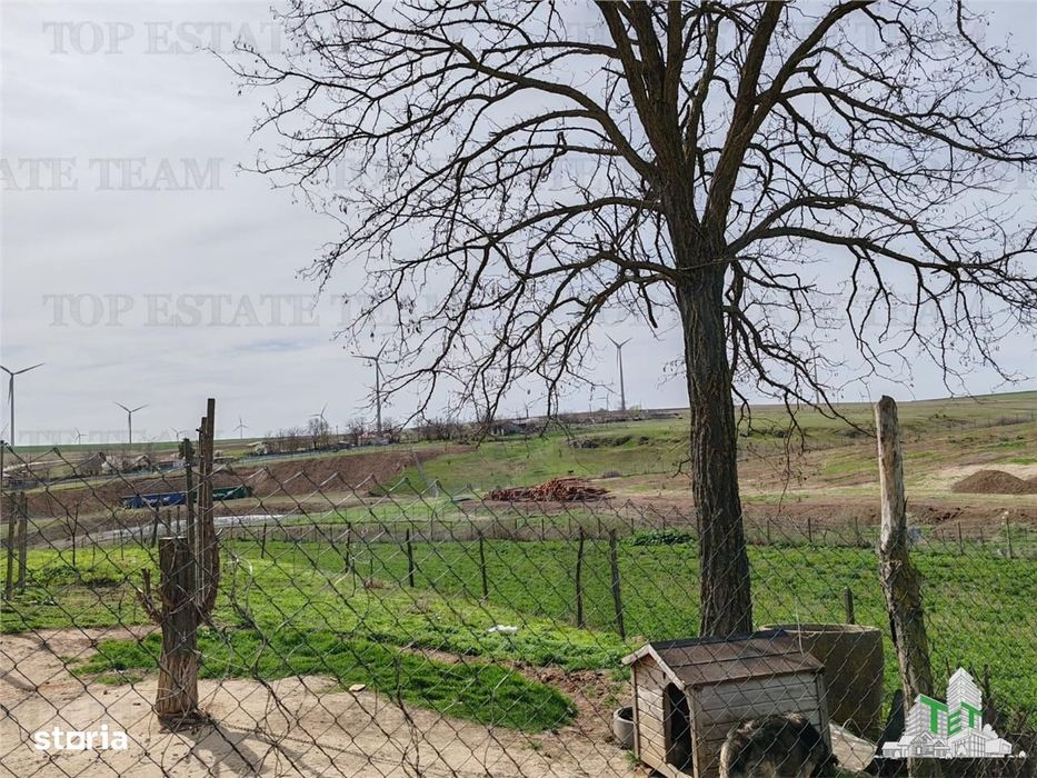 Teren intravilan cu utilitati 4350 mp  la tara Jud Constanta