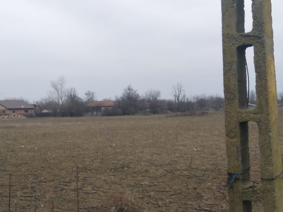 Vand teren Intravilan  Oancea ( Romanu)