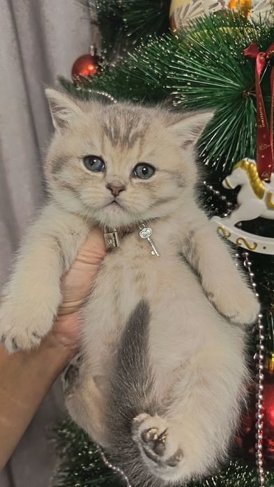 Шикарные мальчишки от правильной вязки