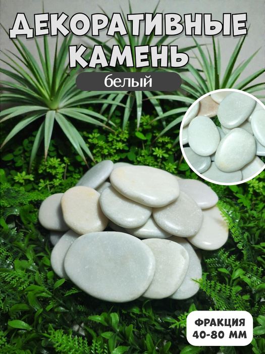 Декоративные камни | Dekorativ toshlar | Rangli tosh | Gul | Akvarium