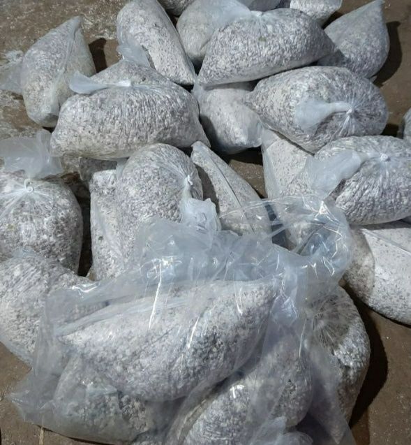 Вешинки Грибы КА 17 , NK35, Шанхай Семена